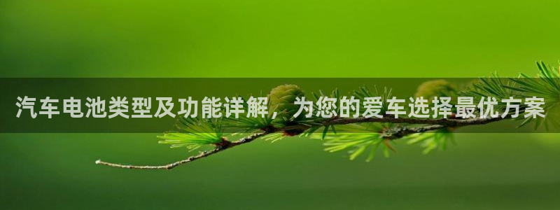 优发国际手机版唯一官网