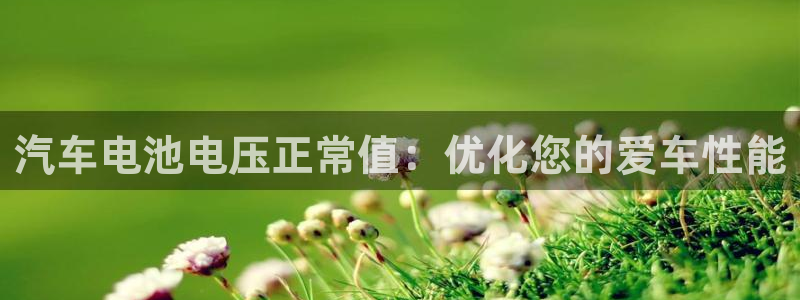 优发国际平台u8