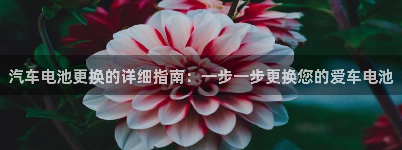 优发国际手机客户端下载安装苹果