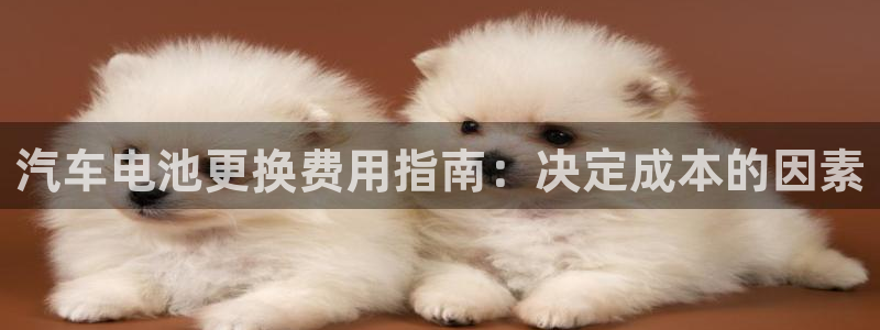优发国际游戏n
