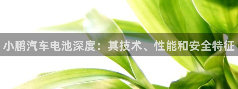 优发国际官网手机版入口