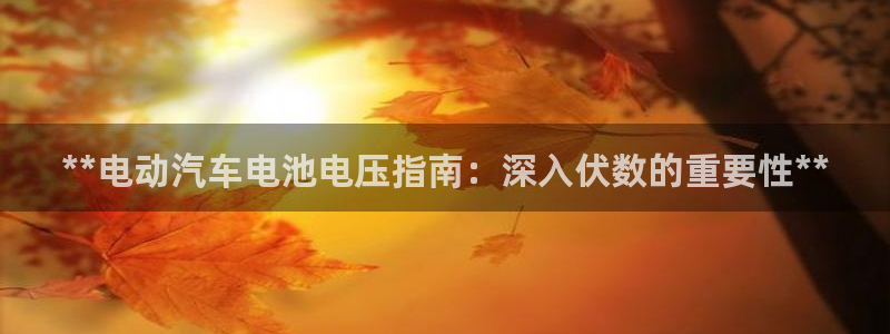 优发国际不出款怎么办