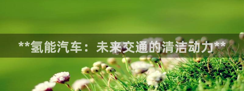 优发国际是大平台吗