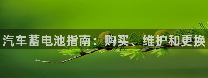 优发国际手机版网站