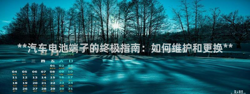 优发国际的官网是正品吗