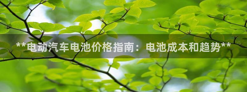 优发国际vip网址