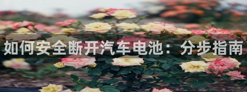 优发国际手机客户端下载不了