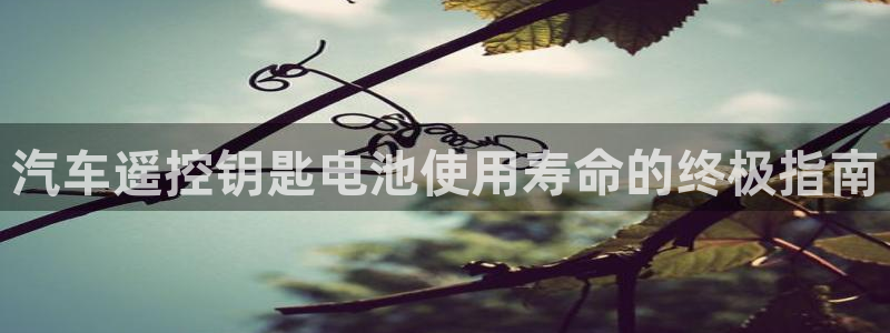 优发国际客服联系方式电话