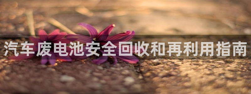 优发国际线上娱官网