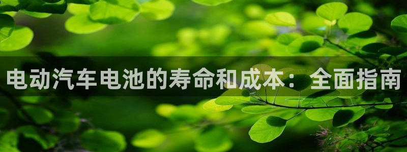 优发国际官网网站