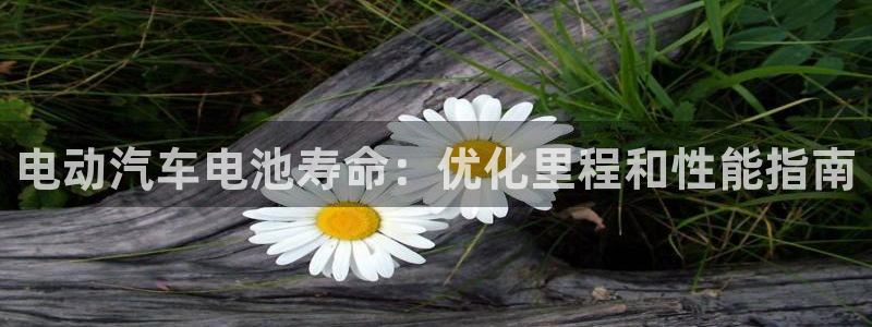 优发国际的官网是什么软件