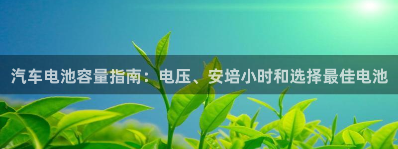 优发国际手机登录下载安装官网：汽车电池容量指南：电压、安培小时和选择最佳电池