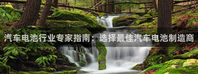 优发国际手机安装登录：汽车电池行业专家指南：选择最佳汽车电池制造商