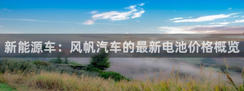 优发国际官网是多少：新能源车：风帆汽车的最新电池价格概览