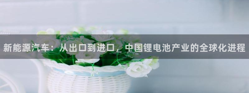 优发国际官网登录：新能源汽车：从出口到进口，中国锂电池产业的全球化进程
