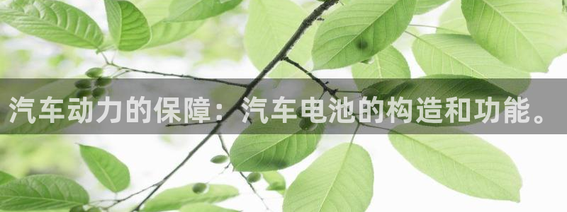 优发国际电话：汽车动力的保障：汽车电池的构造和功能。