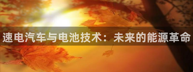 优发国际平台18岁能做吗：速电汽车与电池技术：未来的能源革命