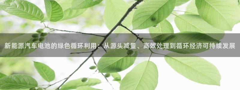 优发国际手机app下载地址：新能源汽车电池的绿色循环利用：从源头减量、高效处理到循环经济可持续发展
