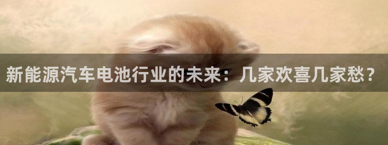 优发国际网站多少