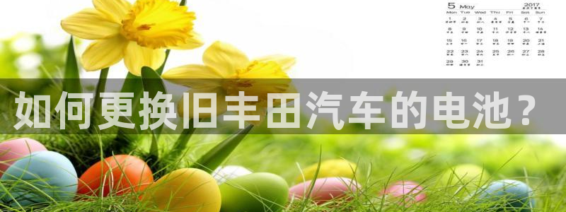 优发国际平台18岁能做吗：如何更换旧丰田汽车的电池？