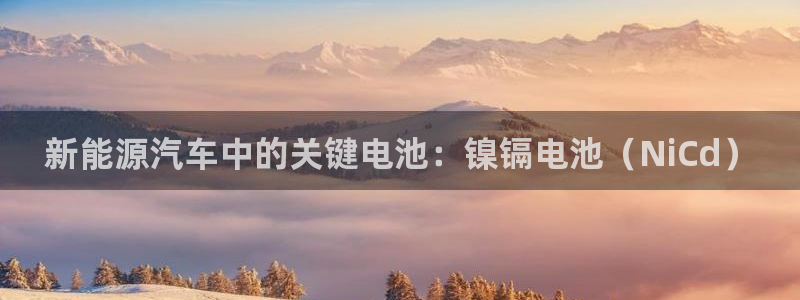 优发国际 干什么的：新能源汽车中的关键电池：镍镉电池（NiCd）