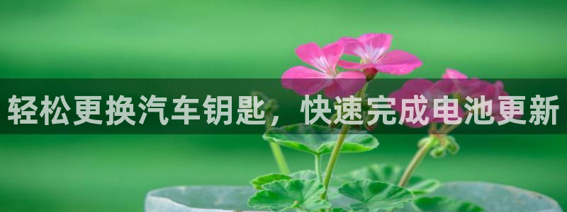 u优发国际首页：轻松更换汽车钥匙，快速完成电池更新