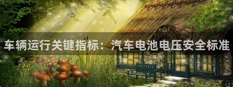 优发国际登陆：车辆运行关键指标：汽车电池电压安全标准