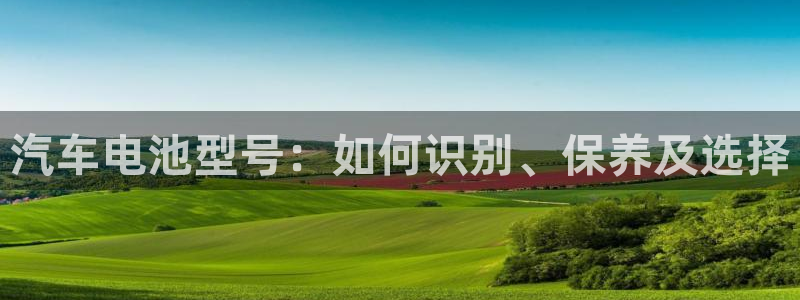 优发国际平台u8是什么公司