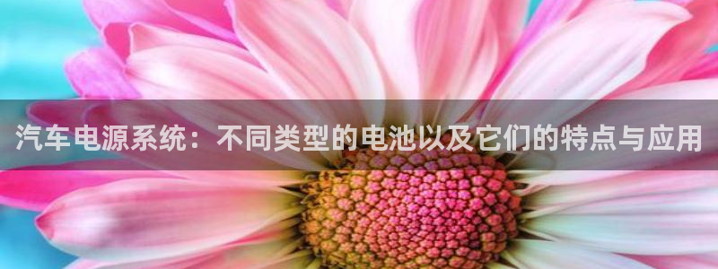 优发国际官网网站首页：汽车电源系统：不同类型的电池以及它们的特点与应用