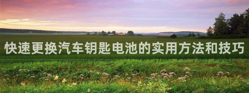 优发国际手机客户端官网下载：快速更换汽车钥匙电池的实用方法和技巧