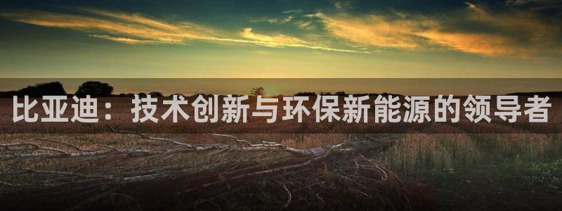优发国际手机版客户端