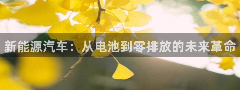 优发国际官网登录：新能源汽车：从电池到零排放的未来革命