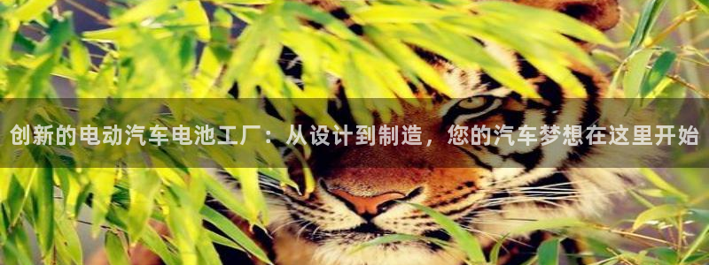 优发国际官网平台