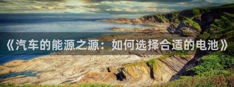 优发国际不出款：《汽车的能源之源：如何选择合适的电池》