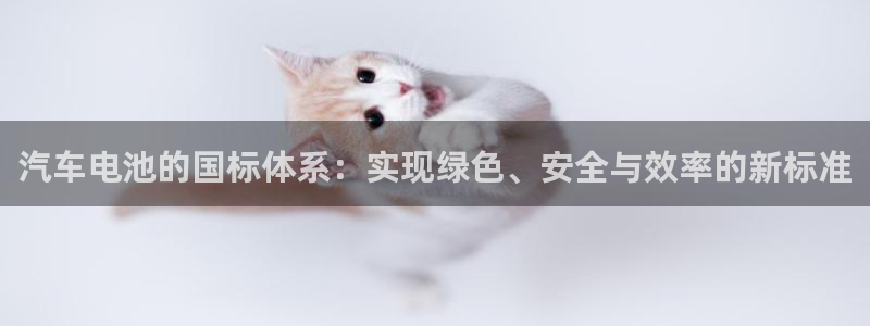 优发国际平台g80：汽车电池的国标体系：实现绿色、安全与效率的新标准