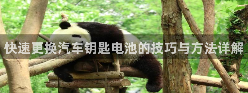 优发国际的官网是什么：快速更换汽车钥匙电池的技巧与方法详解