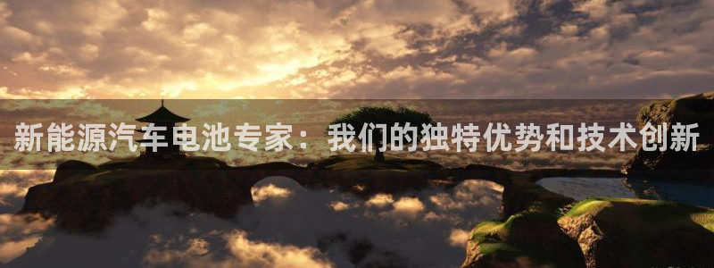 优发国际是不是黑网：新能源汽车电池专家：我们的独特优势和技术创新
