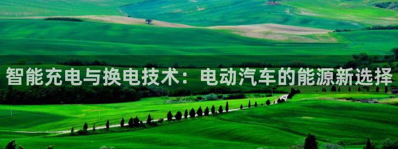 优发国际手机客户端下载安卓：智能充电与换电技术：电动汽车的能源新选择