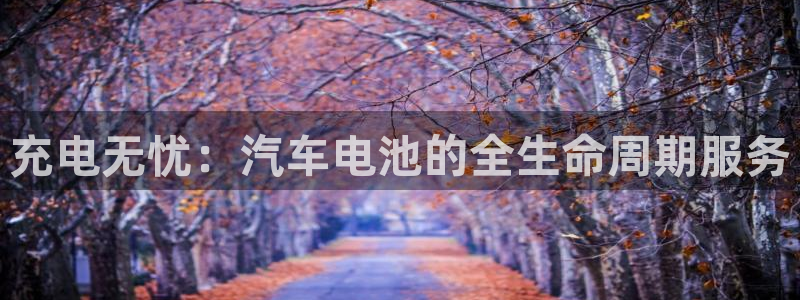 优发国际是不是黑网：充电无忧：汽车电池的全生命周期服务