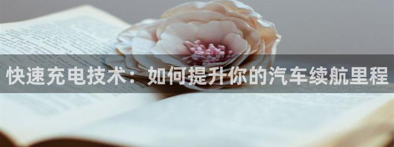 优发国际是大平台吗是真的吗：快速充电技术：如何提升你的汽车续航里程