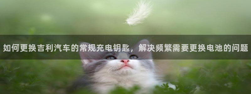 优发国际不出款了吗