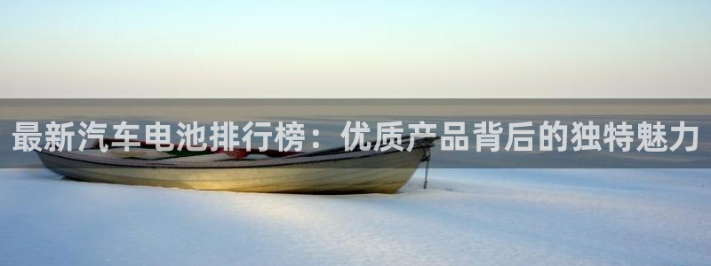 优发国际注册平台是什么：最新汽车电池排行榜：优质产品背后的独特魅力