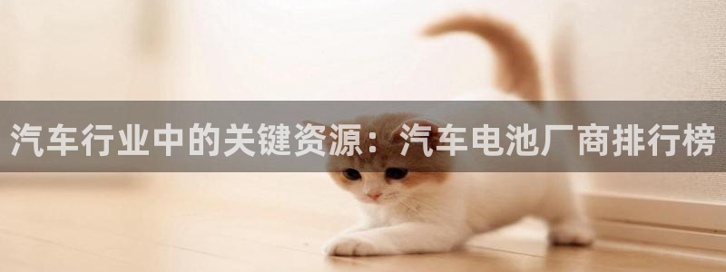 优发国际平台手机版下载：汽车行业中的关键资源：汽车电池厂商排行榜