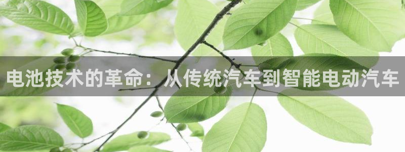 优发国际手机安装登录失败