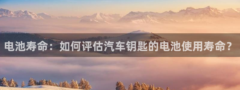 优发娱乐国际线上营业时间：电池寿命：如何评估汽车钥匙的电池使用寿命？
