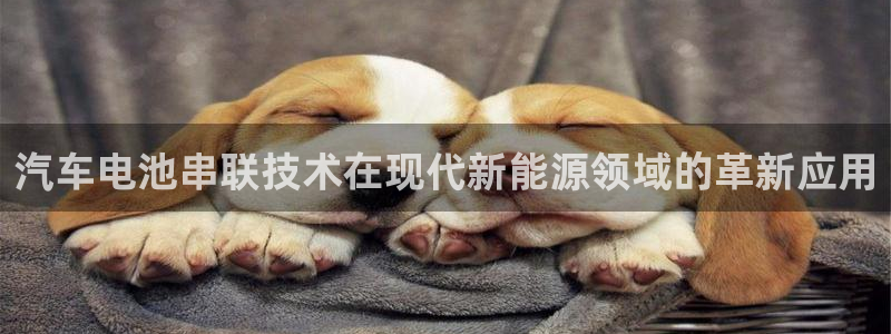 优发国际手机app下载安装官网