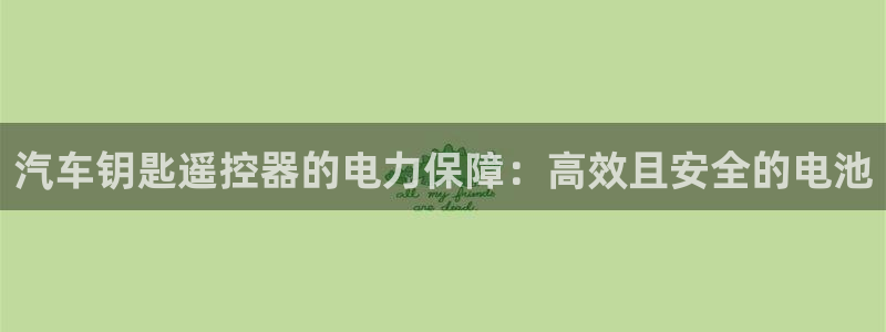 优发国际集团股份有限公司是国企吗：汽车钥匙遥控器的电力保障：高效且安全的电池