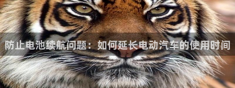 优发国际游戏17：防止电池续航问题：如何