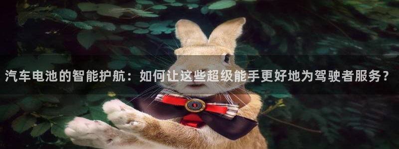 优发国际最新网站下载：汽车电池的智能护航