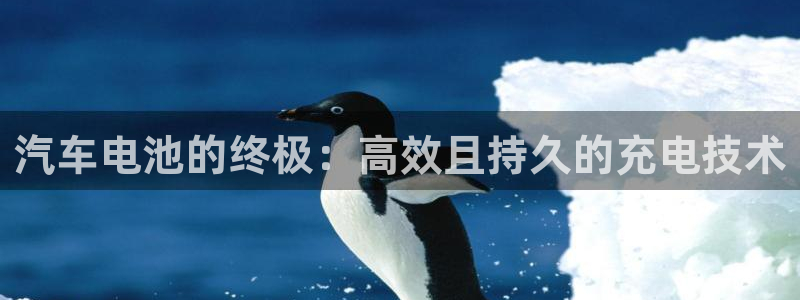 优发国际平台网站：汽车电池的终极：高效且